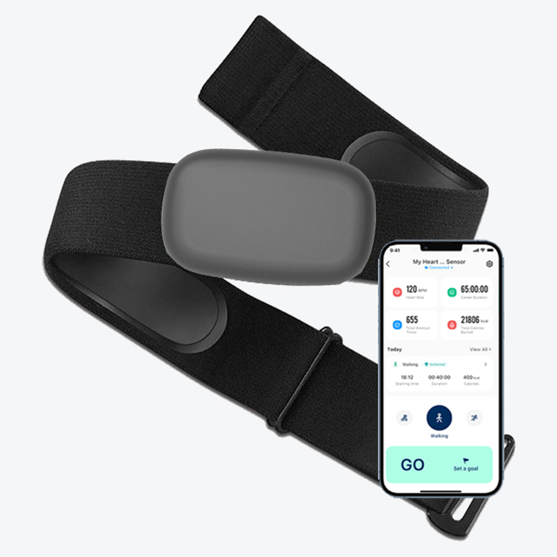 Pasek do monitorowania tętna F – Breath Rate Monitor recenzja i cena